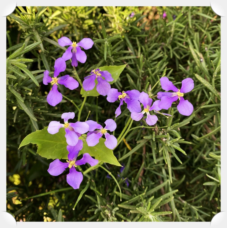  꼭 하고 싶은 이야기.