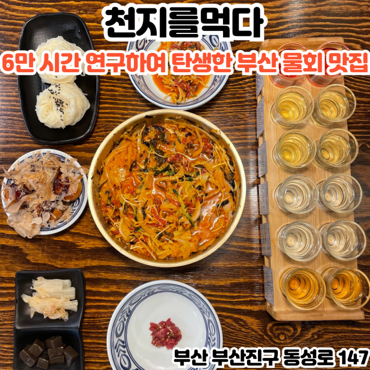  부산INFJ의 맛집여행 - [부산 전포] 천지를먹다 : 국내 최초 성게알과 과일야채 저온 숙성한 물회 전포 신상 맛집