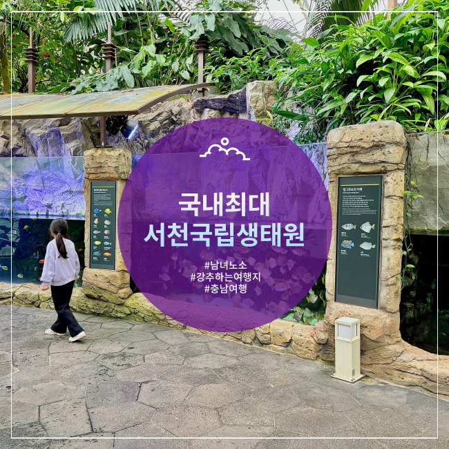  [서천] 주말에 가도 너무 좋은 세계 5대 기후 국립생태원 에코리움(+꿀팁추천)
