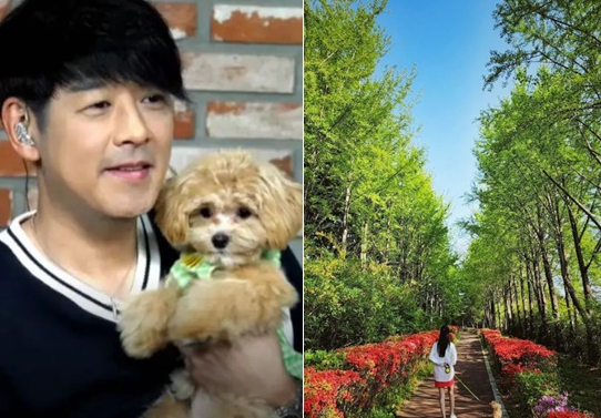 19세 <b>연하</b> 대치동 수학강사와 재혼 <b>류시원</b> 근황,일본 빌딩소유?