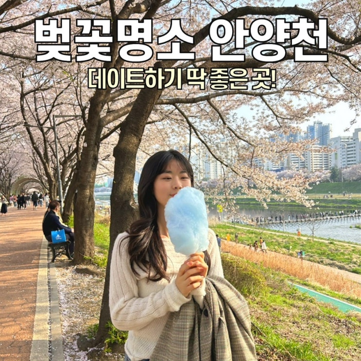  [벚꽃 명소] 안양천 벚꽃 / 사람 없는 벚꽃 구경