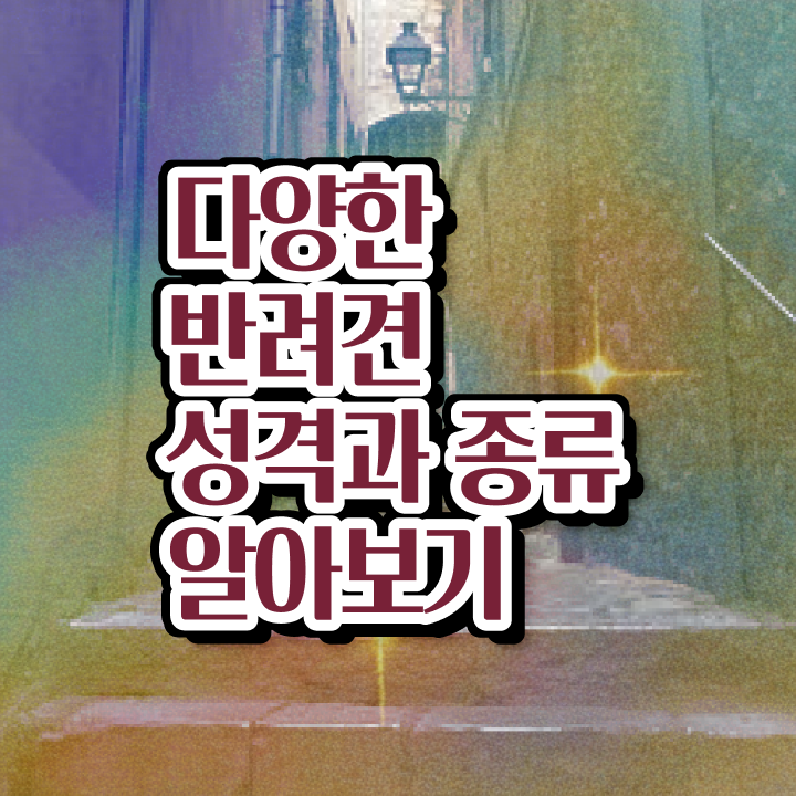  반려동물 자격증 무료 강의 , 반려동물관리사 자격증 학습과정 정보 와 경력 활용 방안