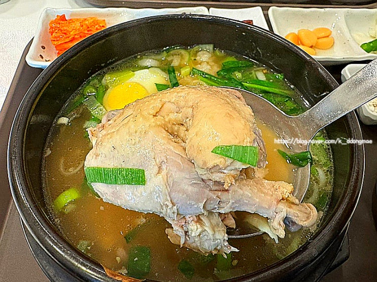  부산 시청 맛집 '미를담다' 연산동 보양식 삼계탕 반계탕 맛집