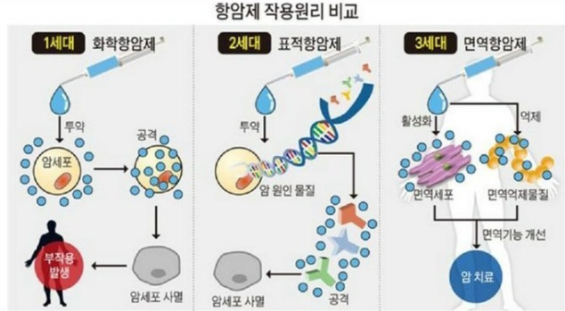 항암화학요법(표적<b>항암제</b>, 면역<b>항암제</b>)