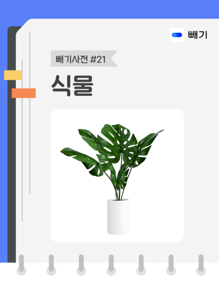  [아파트너x빼기] '식물' 재활용 분리배출 방법
