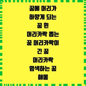 꿈에 머리가 하얗게 되는 꿈 흰 머리카락 뽑는 꿈 머리카락이 긴 꿈 머리카락 염색하는 꿈 해....