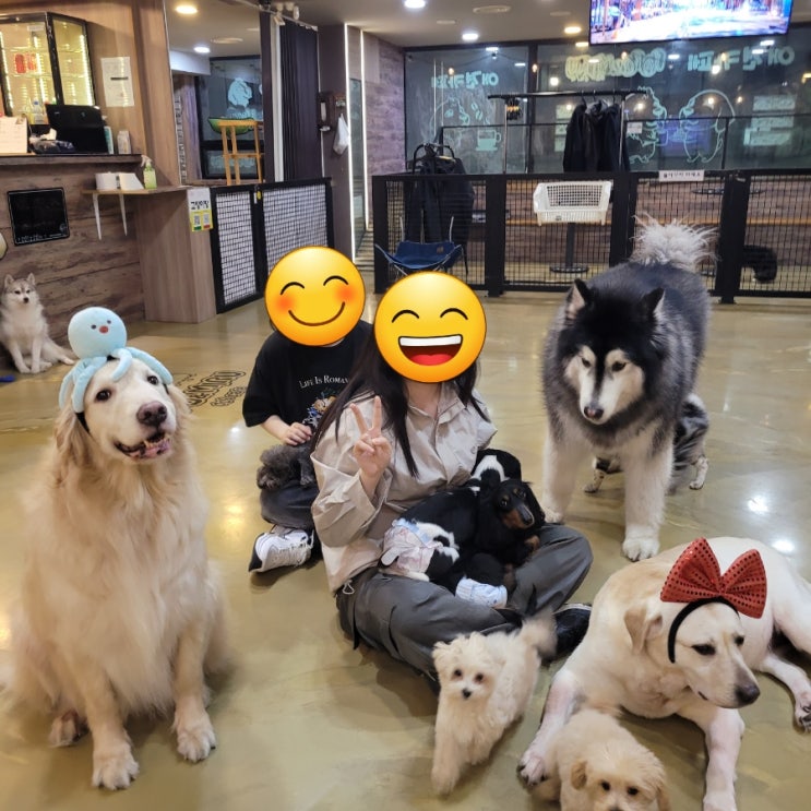  둔촌동역카페: [포포앤미루]후기/ 나만 강아지ㆍ고양이 없어. 여기오세요.
