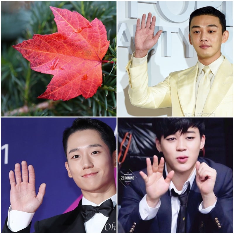 단풍손 뜻 기준, 남자&여자 연예인은?