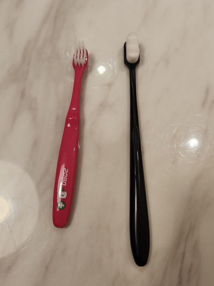  뉴진스? 아니, 펫진스 반려동물 칫솔 완전 부드럽고 짱짱해! 내돈내산