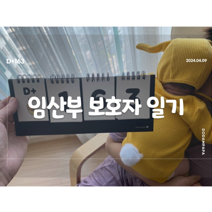 도담이와 함께 벚꽃 산책 D+163일 도담이와 함께 벚꽃 산책 D+163일