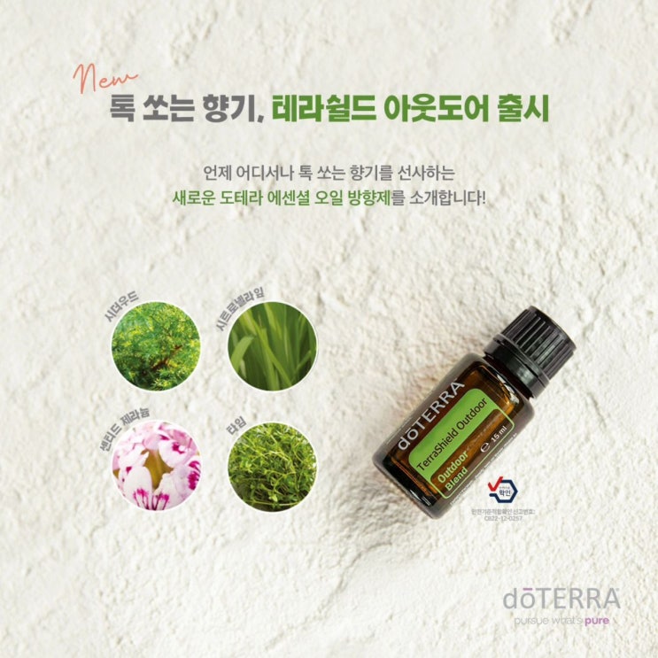  외출 여행 캠핑 필수품! 테라쉴드 아웃도어 출시 & 아주르 버블 특별소장 온라인 한정판매