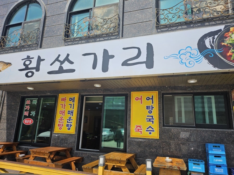 황쏘가리 사진 1