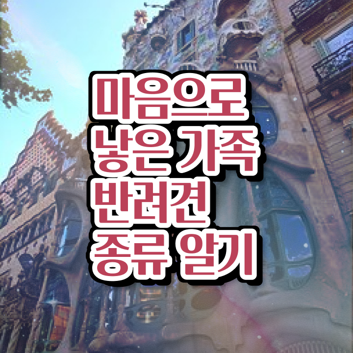  반려동물관련대학 , 반려동물관리사 자격증 1달 만에 합격한 후기 , 취득 후 고용 전망