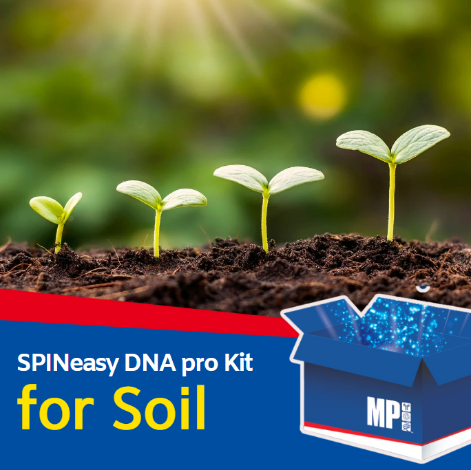  SPINeasy DNA pro Kit for Soil * 토양에서 DNA 추출
