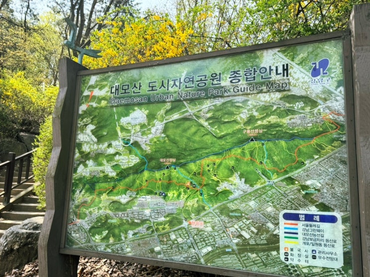  주말 가벼운 산행 추천! 대모산 - 구룡산 연계산행. (feat.양재천 벚꽃)