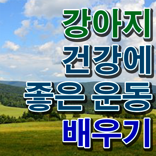  반려견운동지도사 분석가 , 반려견운동지도사 자격증 단기간에 공부하고 합격한 정보 완벽 정리