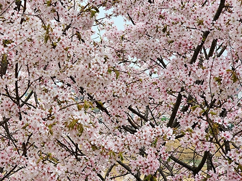 [<b>햇볕같은이야기</b>7778] 값싼 설교