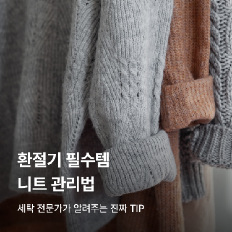  [아파트너x세탁특공대] 환절기 니트 관리 방법