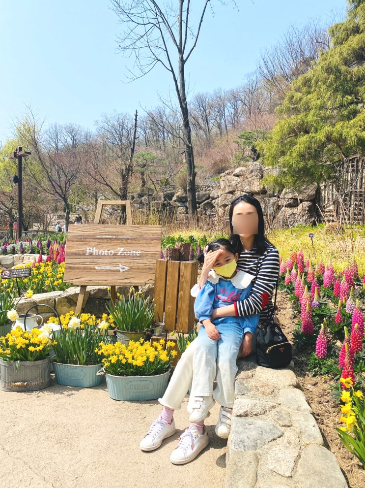  화담숲 아이들과 함께 가보세요! 예매, 모노레일 필수