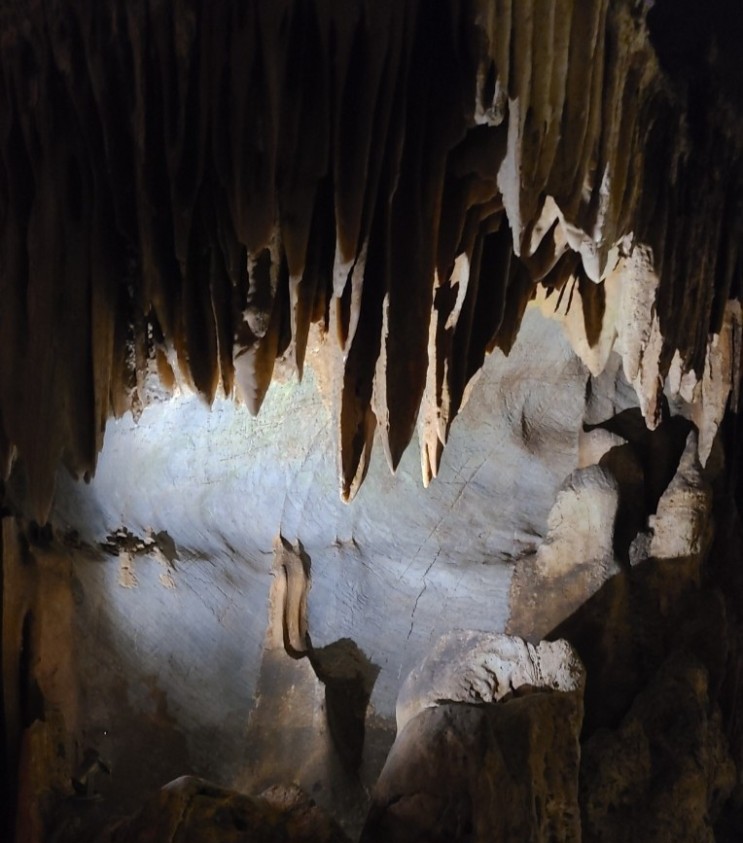 단양 가볼만한 곳, 단양 고수동굴(천연기념물) 탐방
