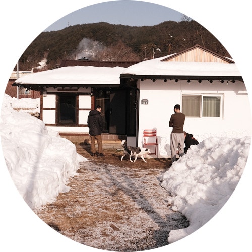 사진 12