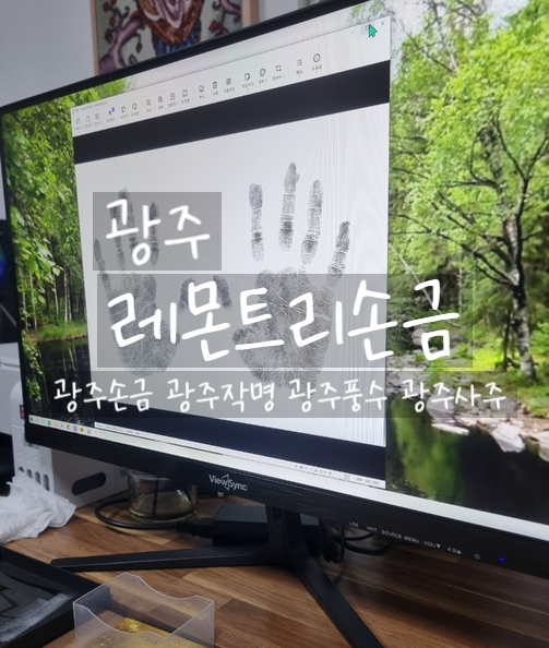  광주, 레몬트리손금 광주손금 작명 사주 잘보는 곳