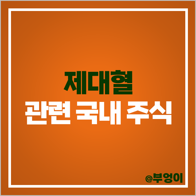 제대혈 보관 검사 관련주 녹십자셀 강스템바이오텍 주가 차바이오텍 주식 제대혈 보관 검사 관련주 녹십자셀 강스템바이오텍 주가 차바이오텍 주식