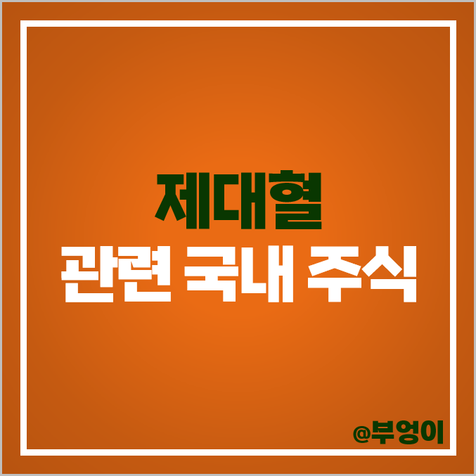 제대혈 보관 검사 관련주 녹십자셀 강스템바이오텍 주가 차바이오텍 주식