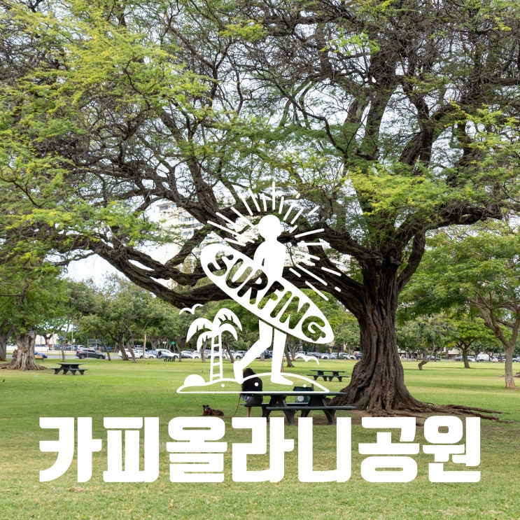  하와이여행은 이렇게 l 카피올라니 공원에서 즐기는 여유