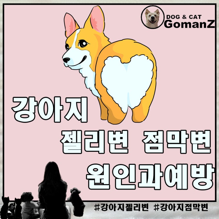  강아지 젤리변 점막변 원인과 예방.