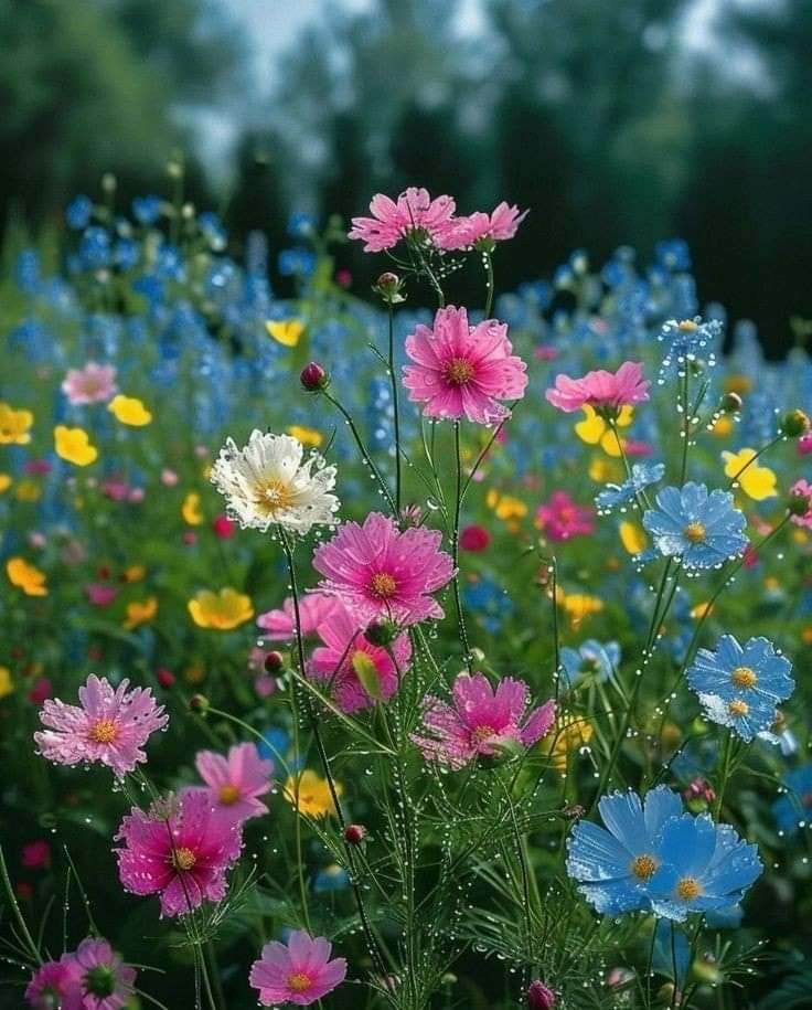   오늘의 생활정보 (2024-04-09, 화)
