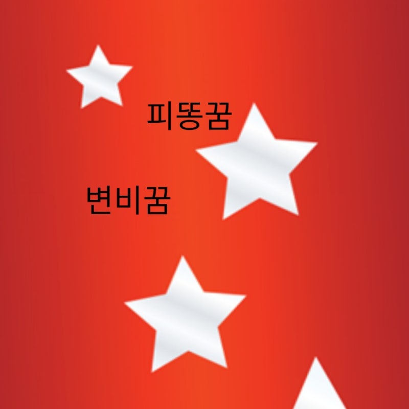 피똥싸는꿈 변비오는꿈 변기에똥튀는꿈