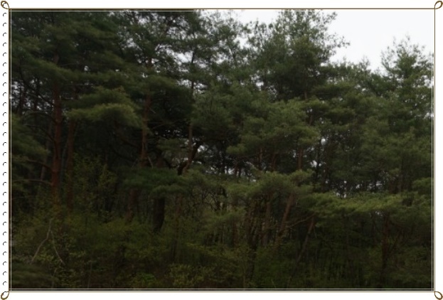 화부산 사진 4