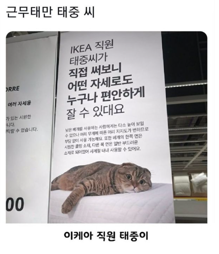 근무태만 IKEA 직원 태중 씨