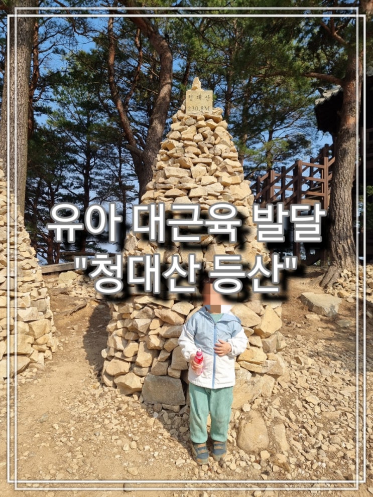  [육아] 유아 대근육 발달을 위한 "청대산 등산", 아들아 아빠랑 등산 가자!