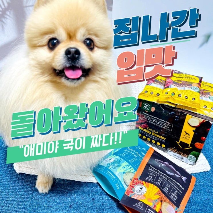  노령견에게좋은간식, 사료 잘 안 먹는 울 강아지 '이것' 토핑으로 입맛 찾았어요.