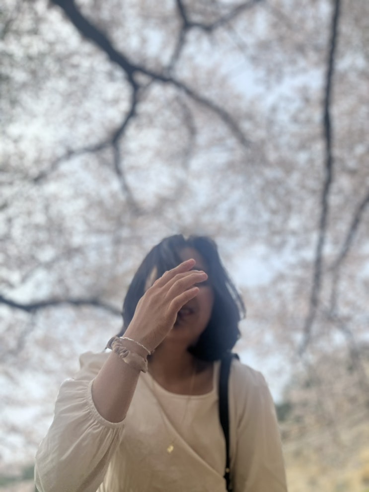 청주 산당산성 벚꽃구경