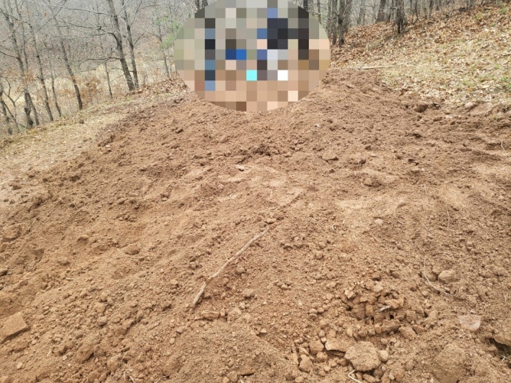  2024년 의성군 봉양면 문흥리 파묘후 화장 2기 군위군 성당묘원안치 고인돌장묘개발장의사 #김천이장 #구미이장 #선산이장 #상주이장 #성주이장 #손없는날 #윤달 #벌초 #이하늘장사