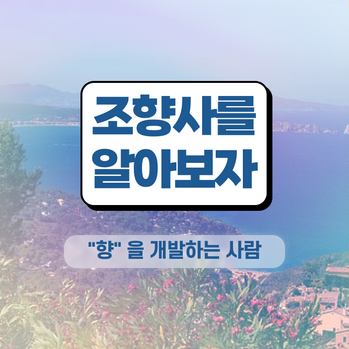  , 조향사 자격증 활용 방법과 전망 핵심 정보