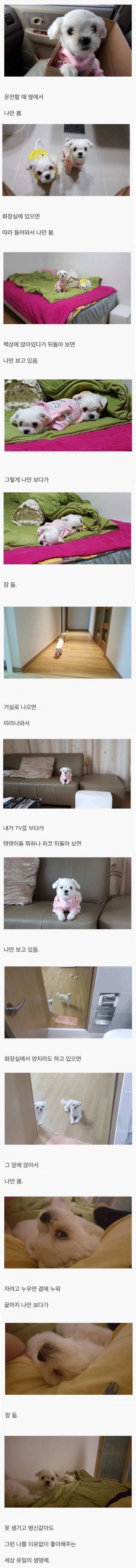  나만봄