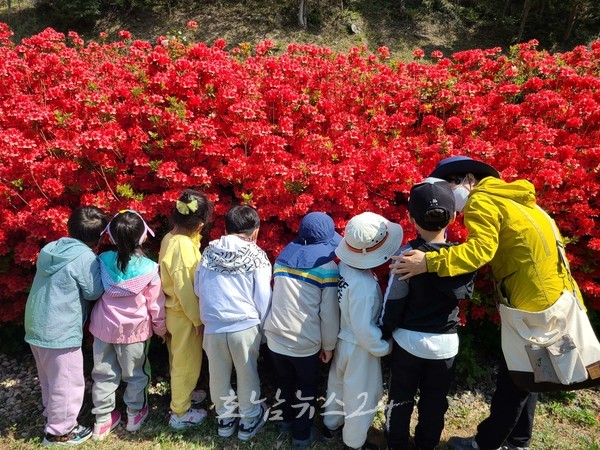  국내 최대·유일 난대수목원 전남도완도수목원, 차별화된 산림교육 서비스 위해 12월 초까지 숲 해설 무료로 운영