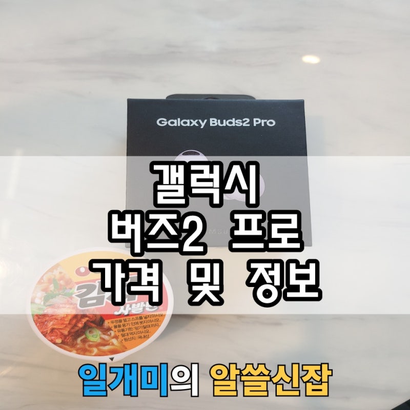 삼성 갤럭시 버즈2 프로 가격 및 삼성 정품 케이스 정보