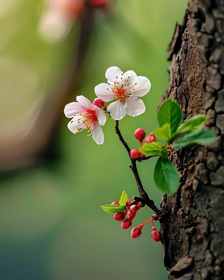  오늘의 생활정보 (2024-04-10, 수)