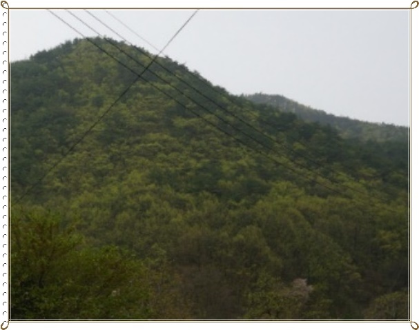 화부산 사진 1