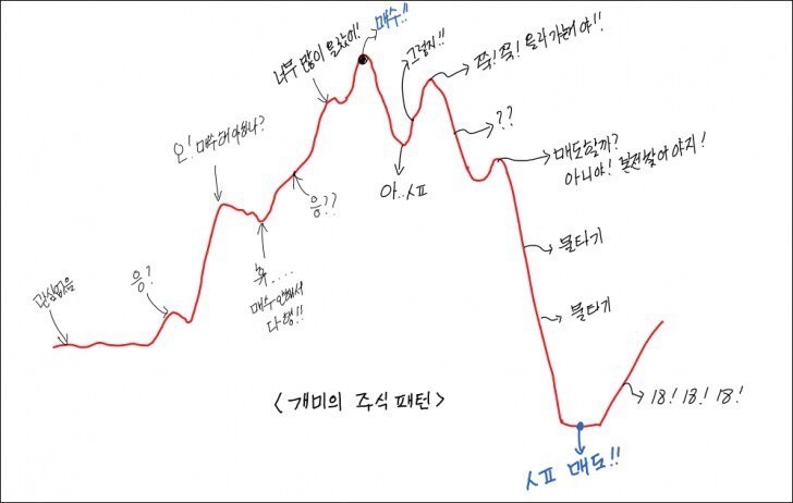  개미들의 주식투자 패턴?