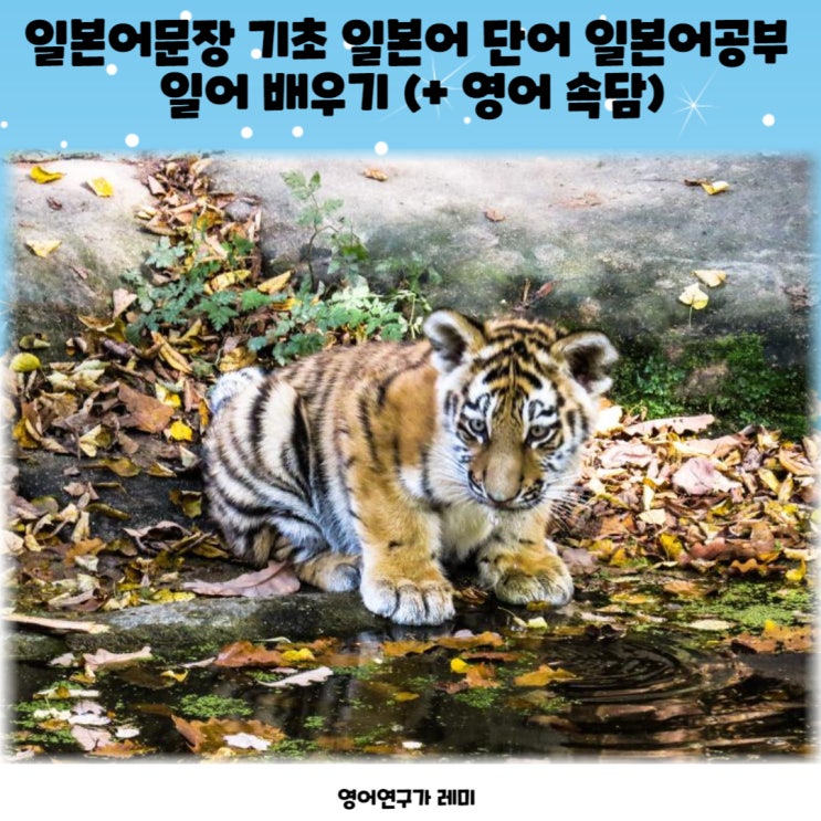 일본어문장 기초 일본어 단어 일본어공부 일어 배우기 (+ 영어 속담) 일본어문장 기초 일본어 단어 일본어공부 일어 배우기 (+ 영어 속담)