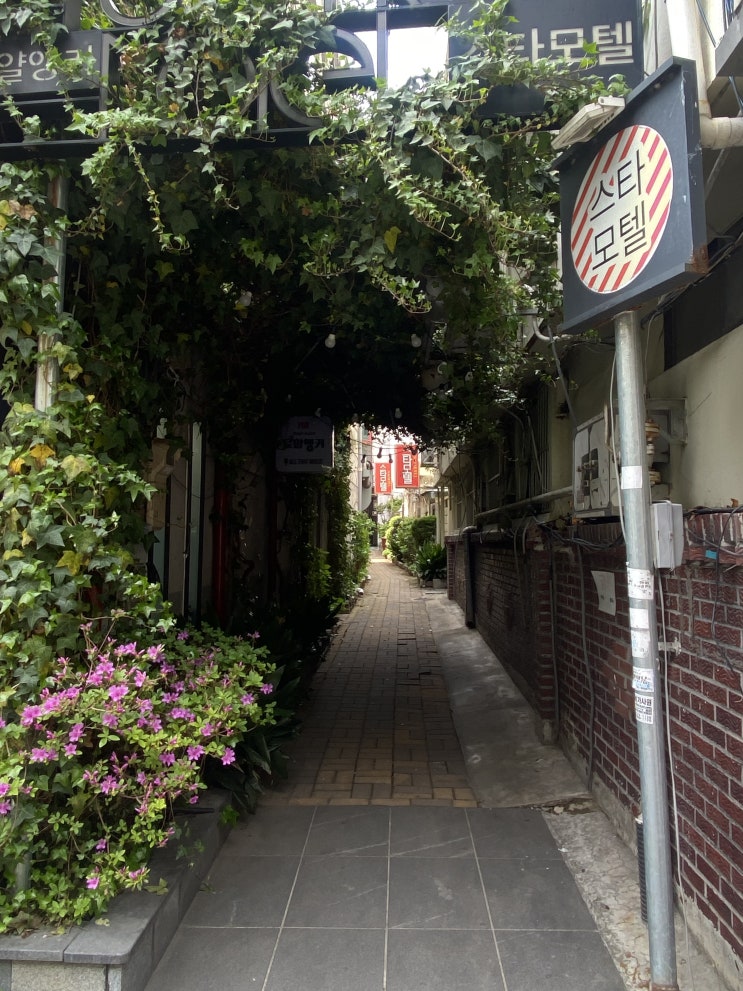  선거날 울산 시내 돌아다니기 + 태화루 구경