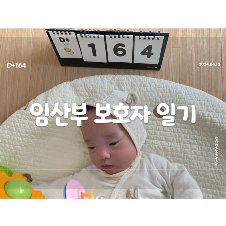 도담이 분유 먹이기 대작전 D+164일 도담이 분유 먹이기 대작전 D+164일