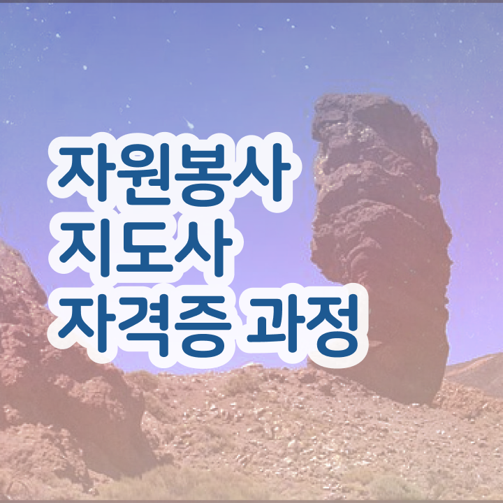  도서관 자원봉사 , 자원봉사지도사 자격증 2주 만에 취득 정보 체크해보세요