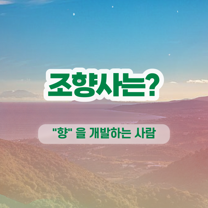  부산 조향사 자격증 , 조향사 자격증 쉽고 빠르게 취득한 노하우 확인하기